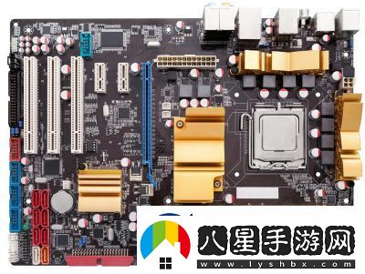 日本插槽X8是正規(guī)還是仿