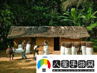 非洲BBOOMBBOOM的獨特風(fēng)情