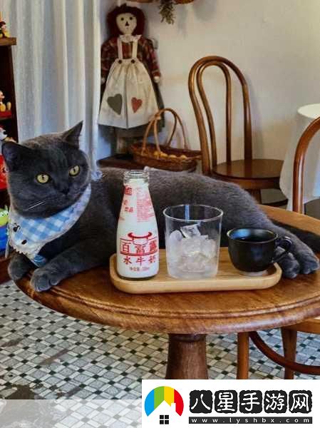 貓咪當(dāng)?shù)觊L萌翻你的經(jīng)營夢(mèng)