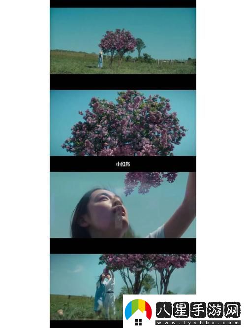 丁香花在線電影電視劇