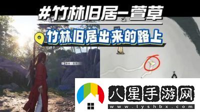 燕云十六聲浣石浦貓咪全收集攻略【詳解】