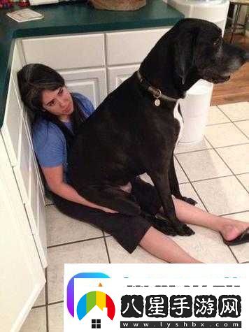 什么是女人雙腿間的口舌奴