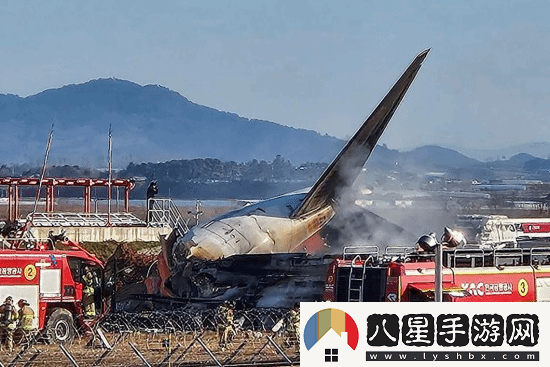 韓國(guó)撞墻客機(jī)乘客名單公布