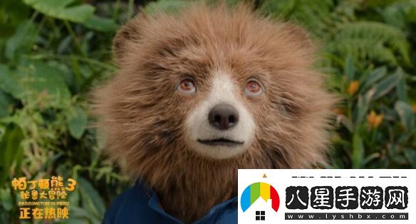 熱映中！帕丁頓熊3