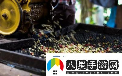 麻豆精產(chǎn)三產(chǎn)最簡單處理方法