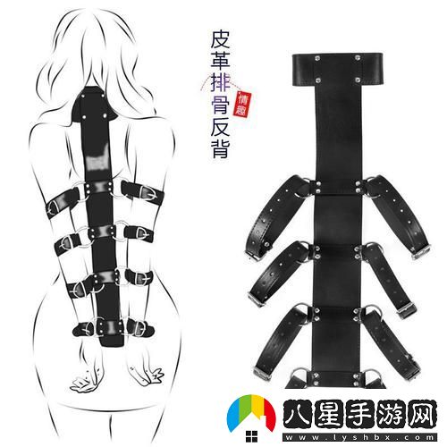 女士專(zhuān)用四肢固定夾具