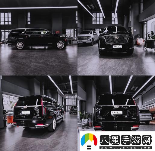 辦公室歐美大尺寸SUV