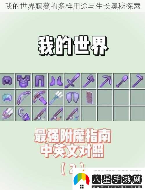 我的世界藤蔓的多樣用途與生長奧秘探索