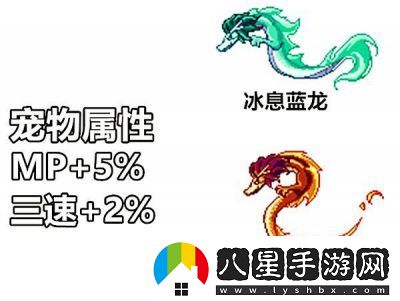 DNF年寵豪華對(duì)比