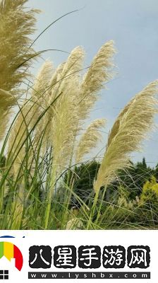 田福和母親在蘆葦中對(duì)話