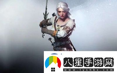 巫師3拜年劍法技能是什么