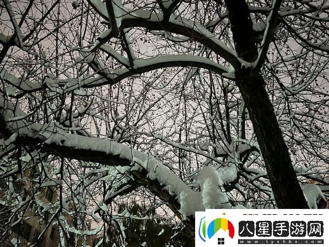 小雪爽?好大?快?深點(diǎn)的奇幻冬日柯林