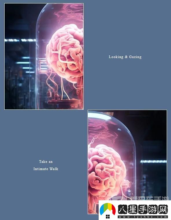 百變大偵探大腦歸處兇手是誰