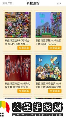 泰拉瑞亞游戲輔助工具選擇與風險預(yù)防