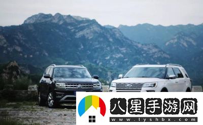 大尺寸SUV的定義