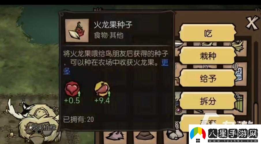 饑荒游戲中火龍果獲取方法及火龍果代碼與屬性全面介紹