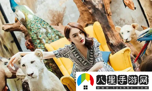 麻花傳劇MV無(wú)痕如何免費(fèi)觀看