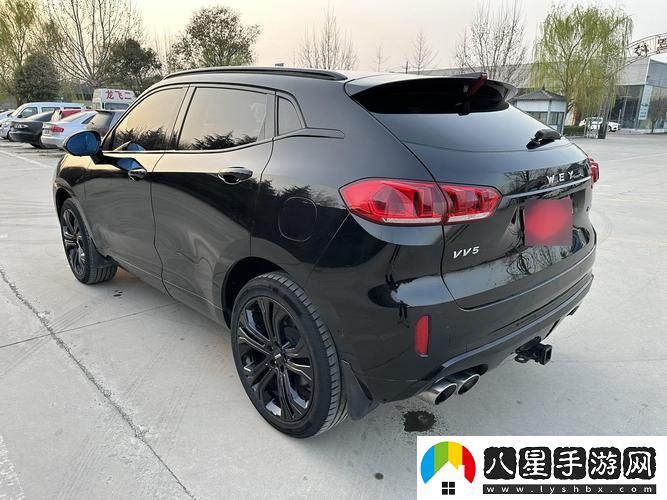 weyvv5國產(chǎn)SUV電影