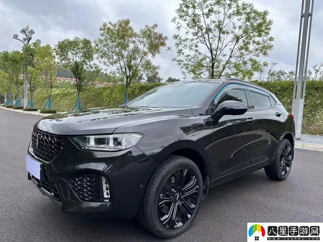 weyvv5國產(chǎn)SUV視頻