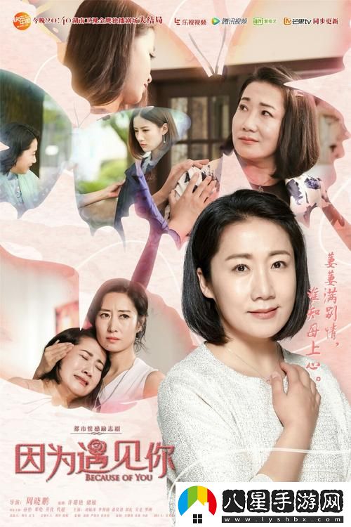 愛上繼子的母親免費(fèi)版電視劇