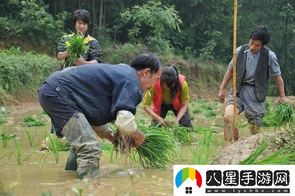 夫妻插秧38種方法圖片