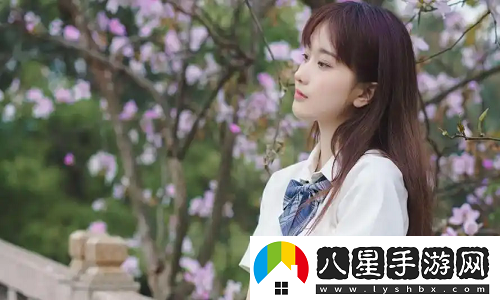 貓咪無(wú)限看bug教程