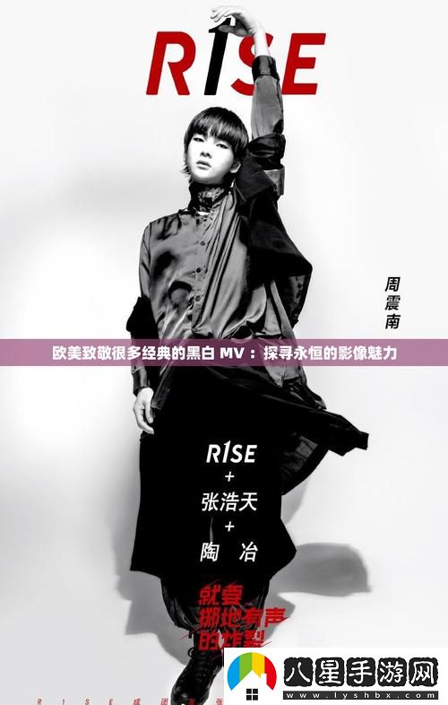 歐美致敬很多經(jīng)典的黑白MV