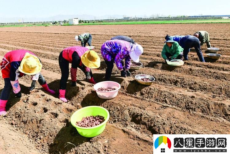 耕種姨媽肥沃的土地