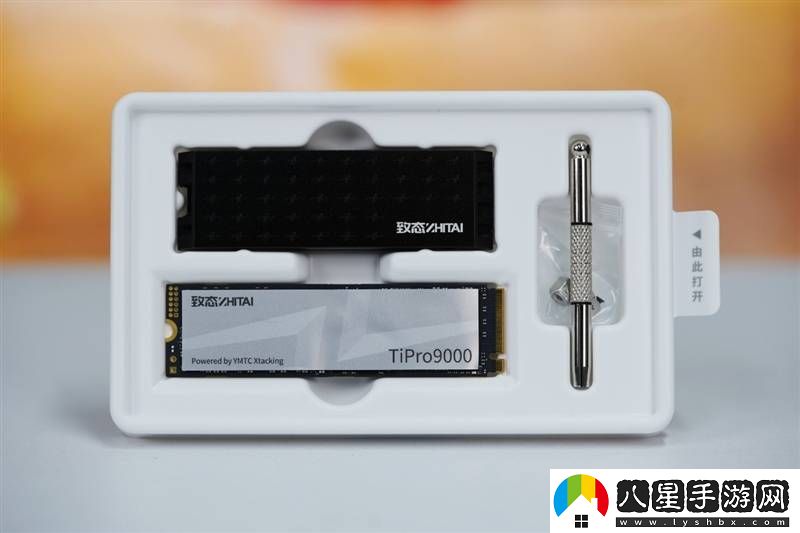 致態(tài)TiPro9000