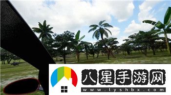 我做夫人那些年