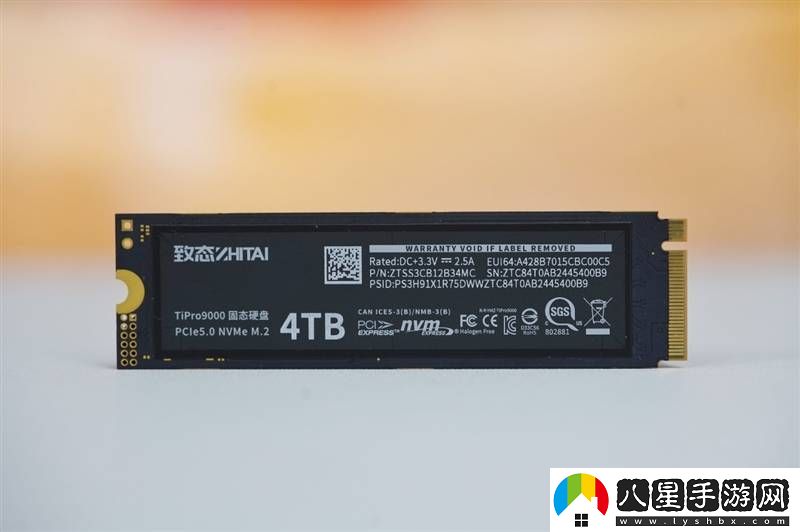 致態(tài)TiPro9000