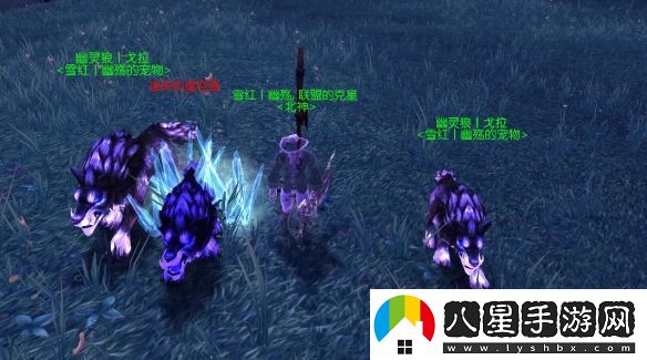 魔獸世界wow戈拉位置坐標及抓捕技巧