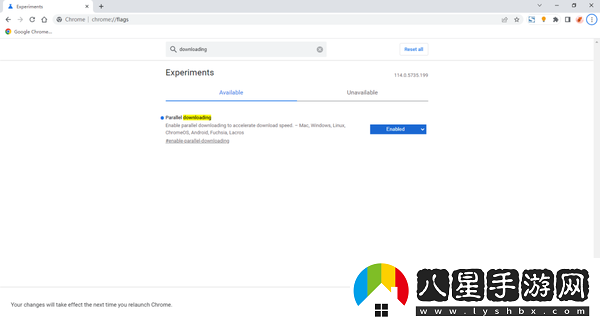 谷歌瀏覽器提高文件下載速度具體操作教程