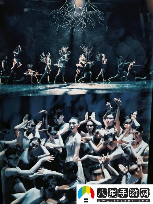 肢體的繡感意大利穩(wěn)居榜首