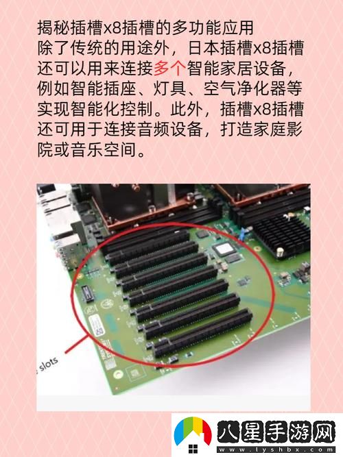 日本插槽X8是正規(guī)還是仿