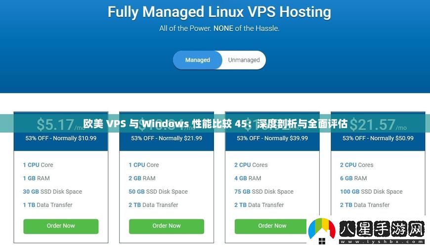 歐美vps與windows性能比較45