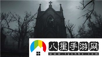 光明領主后期陣容的樣式分析與優(yōu)化策略