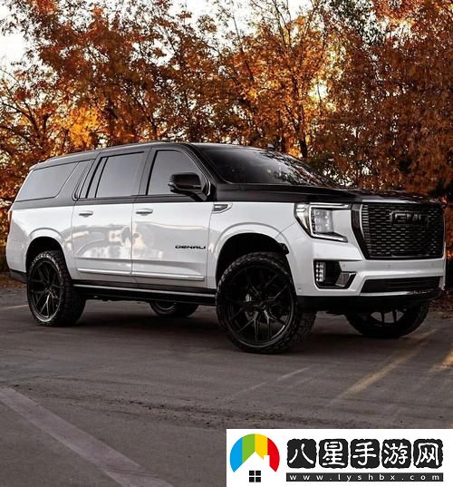 國(guó)產(chǎn)歐美大尺寸SUV免費(fèi)不花錢