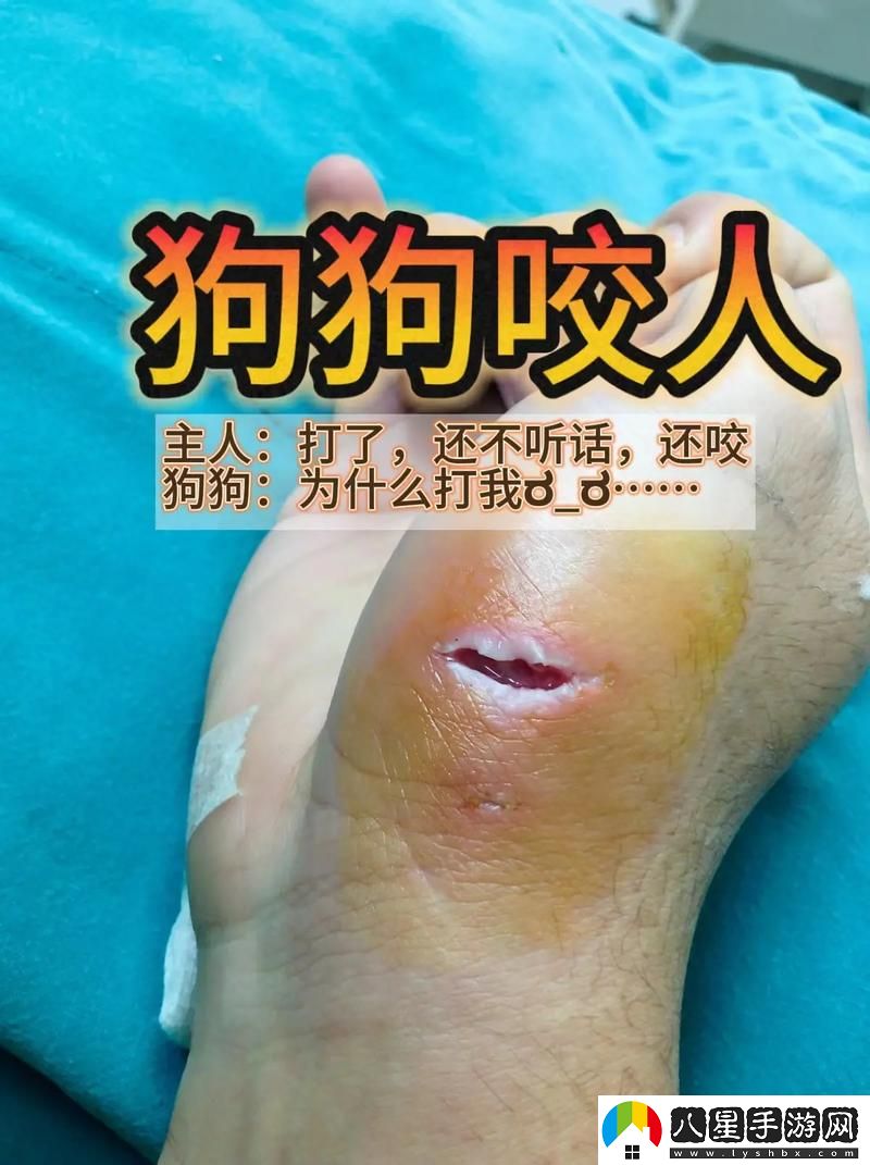 你知道“狗狗和人咬配方大全視頻”能帶給你和愛犬怎樣的飼養(yǎng)靈感嗎