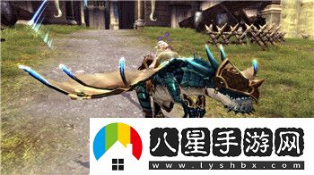 口袋決斗超進(jìn)化2怎么辦