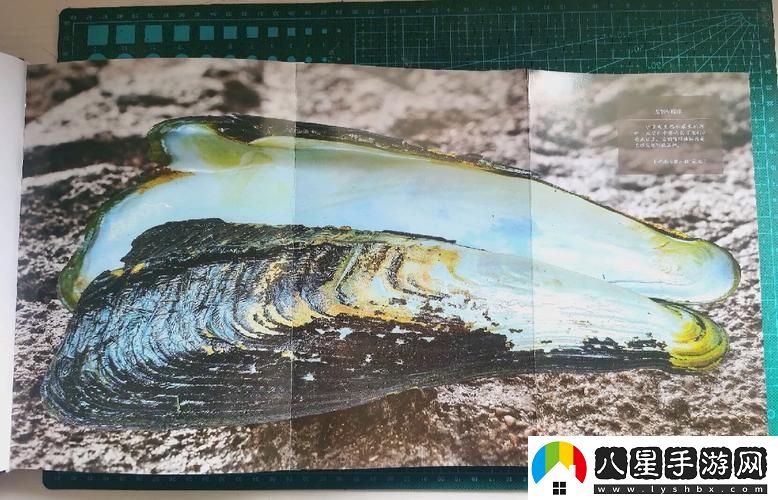 在色彩斑斕的世界中