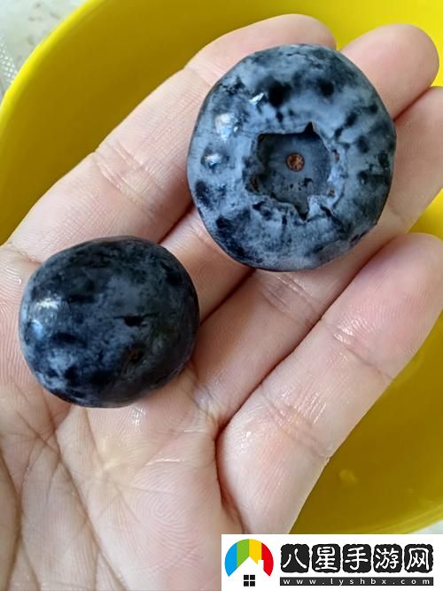 成色18K.8.35MB藍(lán)莓到底有什么獨(dú)特之處