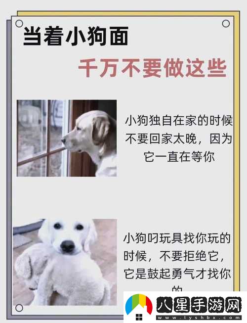 在社交與溝通的未來中