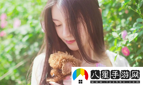 b站必看的3000視頻入口