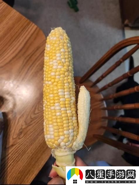 草莓櫻桃絲瓜秋葵榴蓮黃瓜大全