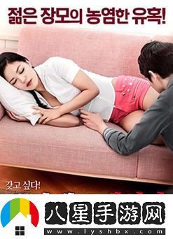 韓國(guó)理論大全