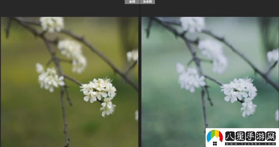 免費(fèi)PS大片段視頻調(diào)色