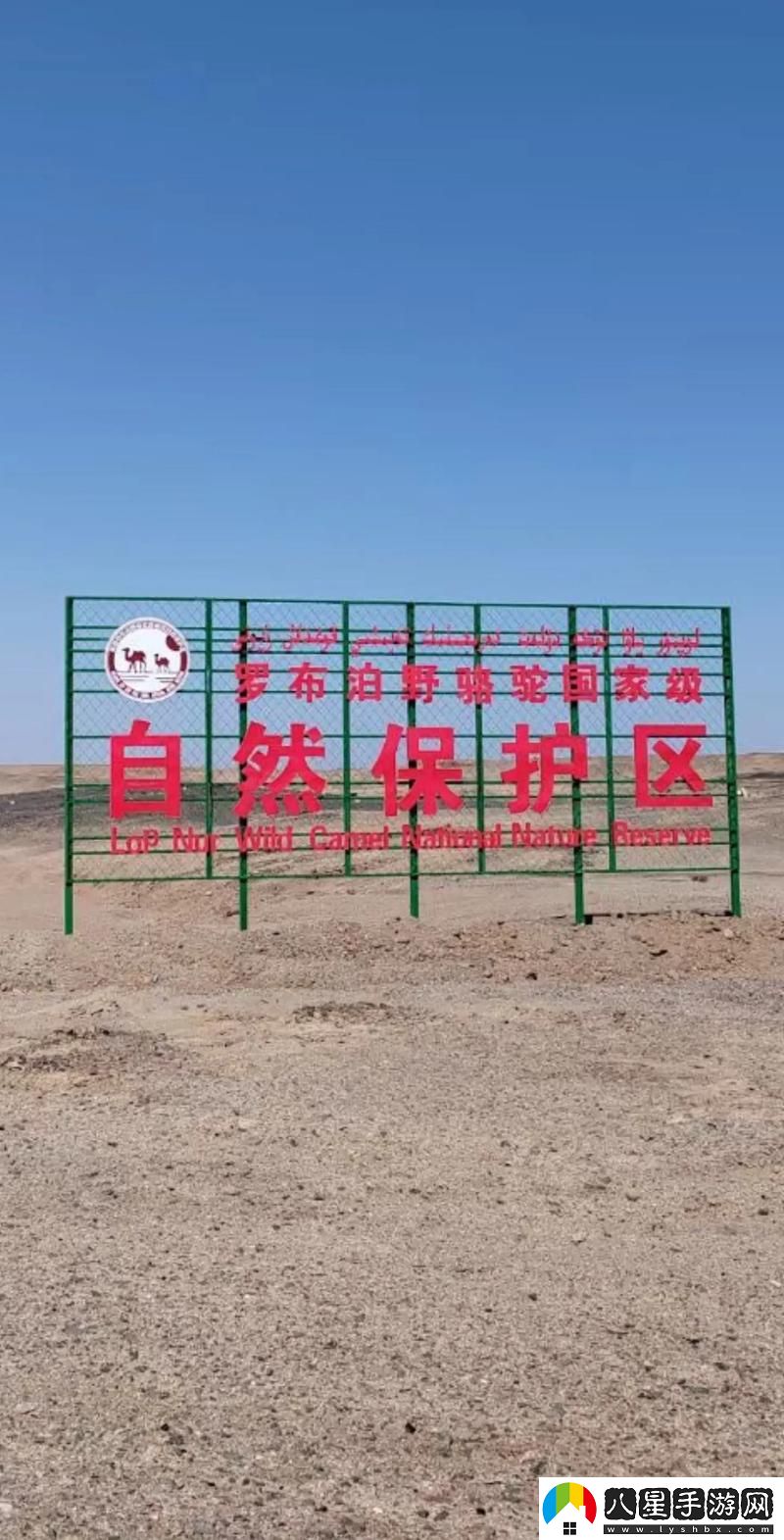 無人區(qū)一區(qū)二區(qū)區(qū)別是什么紅桃流暢不卡頓