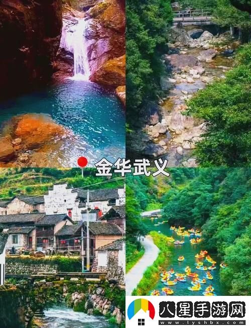 如何在伊春園2023入口直達(dá)大象