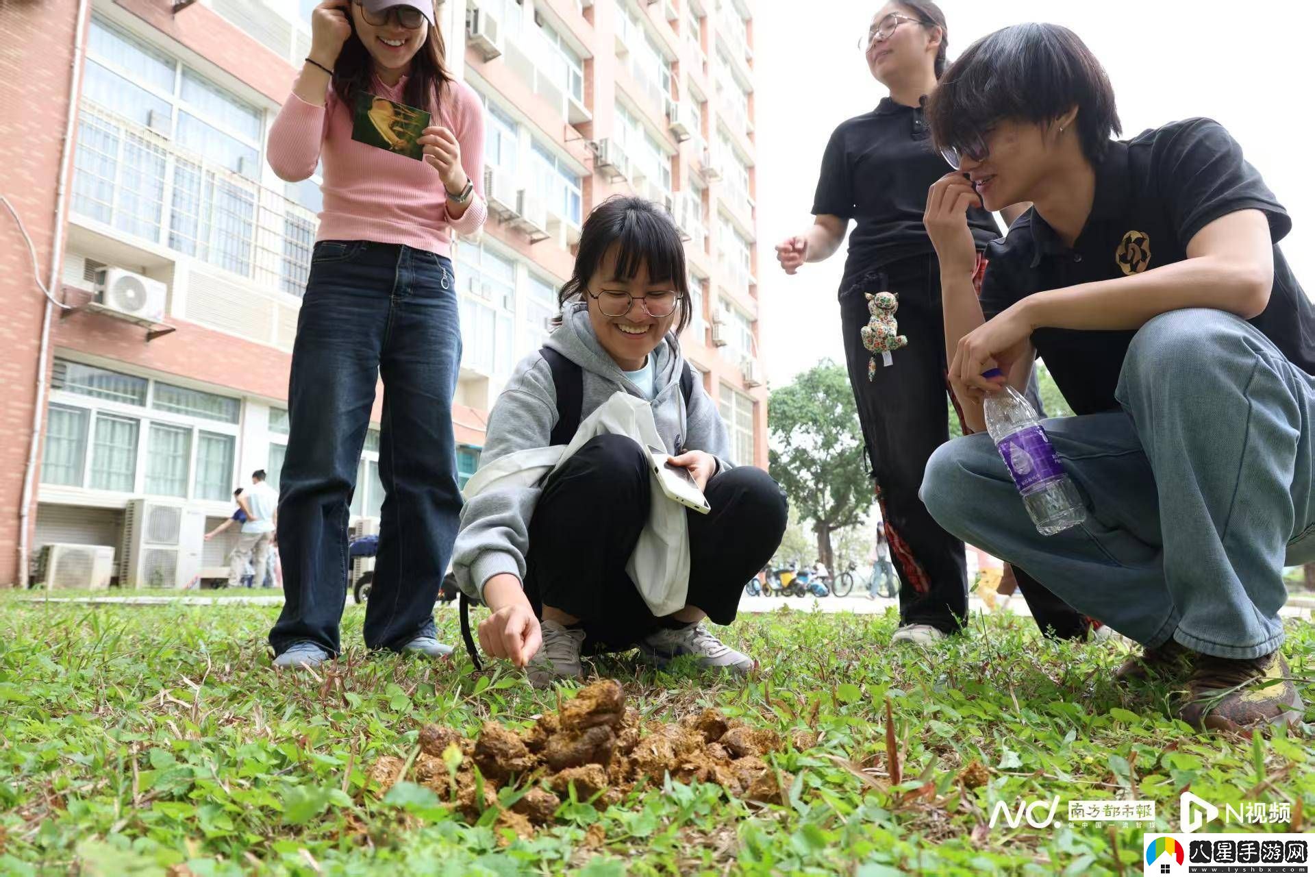 華農(nóng)馬文化節(jié)